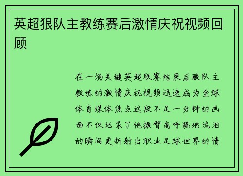 英超狼队主教练赛后激情庆祝视频回顾
